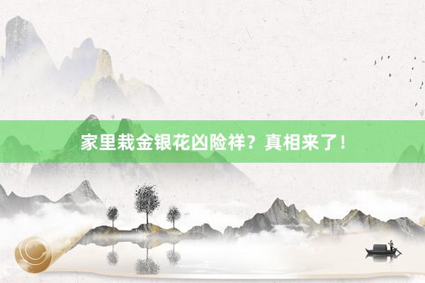 家里栽金银花凶险祥？真相来了！